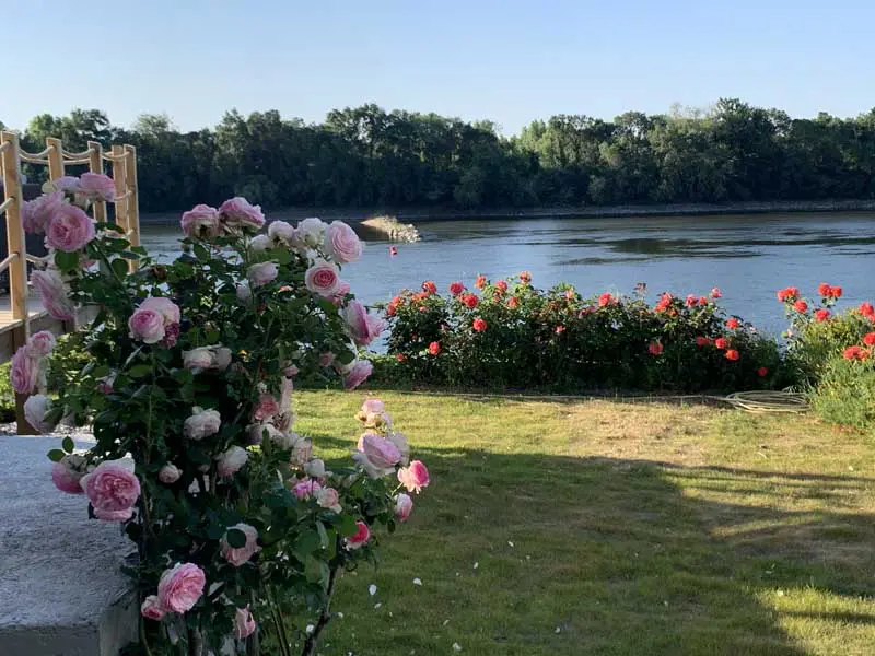Photo d'une vue sur la Loire depuis la Maison Paradis, Location de maison en bord de Loire
